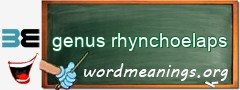 WordMeaning blackboard for genus rhynchoelaps
